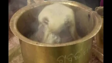 Gabbar Tea Stall At Cuttack Bali Yatra