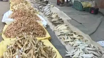 Bali Yatra, a perfect place for dry fish lovers 