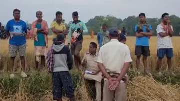 Forest Officials On Spot After Elephant Trampled Two To Death