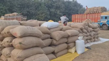 Sans surveillance, paddy stolen from procurement centre in Odisha’s Nuapada 