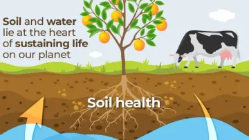 World Soil Day