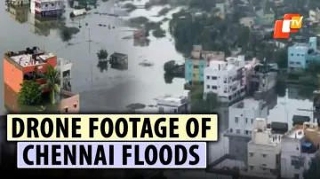 Cyclone Michaung