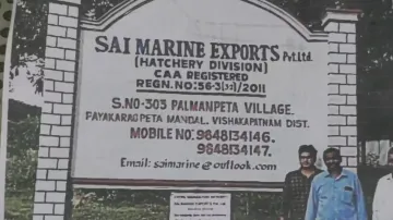Factory Where Migrant Labourer Duo Was Working