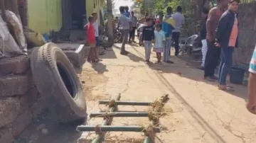 Bees sting two persons to death in Odisha’s Dhenkanal