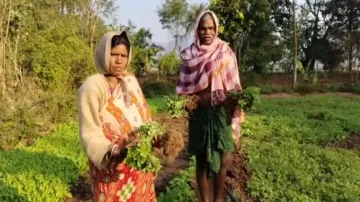Two Odisha brothers earning lakhs selling leafy greens