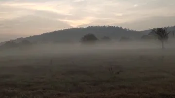 Odisha shivers under cold wave, 8 cities record temperature below 10 degree Celsius