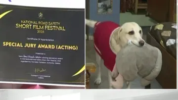 Sheru Wins Jury Award For Acting