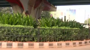 BJP, Congress allege corruption in ornamental plantations in Bhubaneswar 