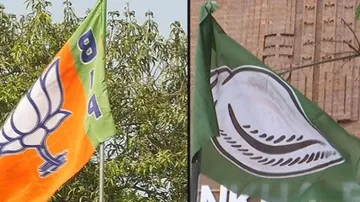 BJP & BJD Flags