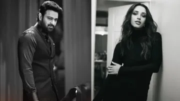 Prabhas & Triptii Dimiri