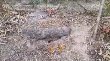 Dadhinauti of Ancient temple Found Buried In Balasore