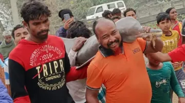 Odisha villagers release dolphin in pond