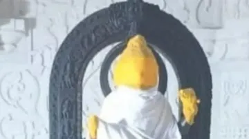 First 'look' of Ram Lalla idol inside Ayodhya temple revealed