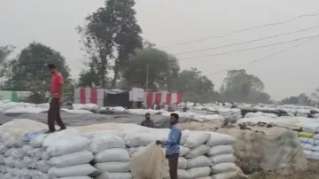 Rain-Soaked Paddy In Bargarh Mandi