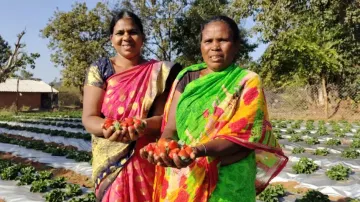 Odisha farmers achieve the unthinkable!