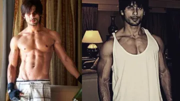 Shahid Kapoor to play Chhatrapati Shivaji in OMG 2 director Amit Rai’s historical saga