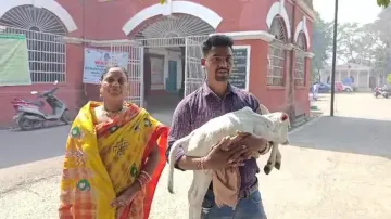 Odisha man takes ailing calf to Collector’s office, seeks treatment 