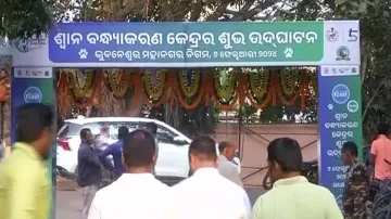 Dog Sterilisation centre In Bhubaneswar