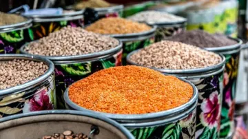 World Pulses Day 2024
