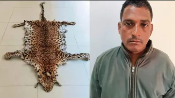 Leopard Skin Seized In Odisha