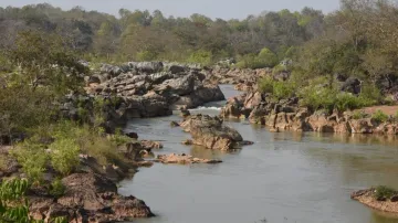 Odisha declares Gupteswar Forest as 4th biodiversity heritage site