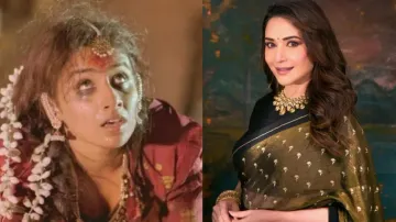 After Vidya Balan, Madhuri Dixit to join Kartik Aryan-starrer Bhool Bhulaiyaa 3!
