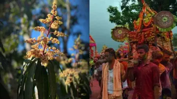 Nostalgic summer! When life used to be a sunburn festival