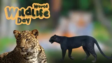 World Wildlife Day 2024