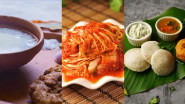 Fermented food