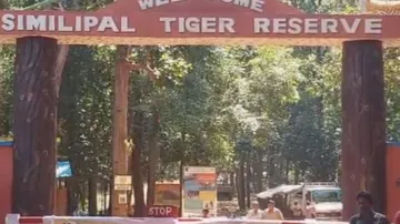 Low-pressure pounds Similipal Tiger Reserve with heavy rainfall, rivers in spate