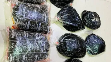 STF makes biggest opium seizure in Odisha