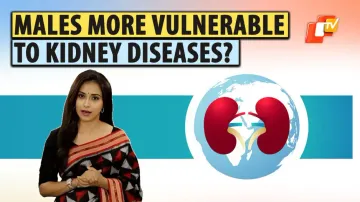 World Kidney Day