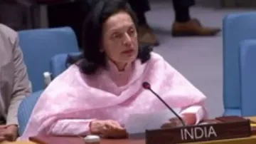  India slams UFC model on UNSC reforms