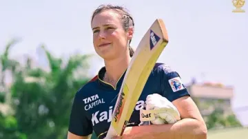 Ellyse Perry got divorced and Murali Vijay got trolled! Check hilarious memes