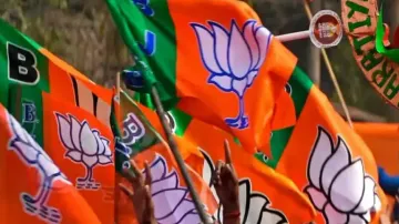 Odisha Elections 2024: BJP candidate list strikes balance between old and new 