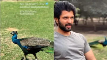 Rashmika Mandanna celebrates birthday with Vijay Deverakonda in UAE