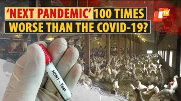 Health Alert! H5N1 Bird Flu Can Be 100 Times Worse Than Covid-19 Pandemic, Warn Experts