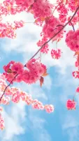 9 Glimpses Of Nature To Behold Beauty Of Spring Like Never Before, Watch