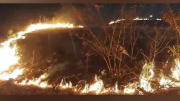 Forest Fire In Similipal 