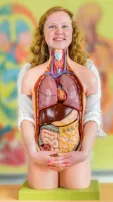 What Are The Top 6 Foods That Naturally Purify Blood?