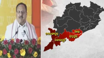 Odisha Elections 2024: BJP turns strategic focus on South Odisha LS seats
