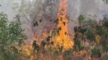 Fire breaks out in pine forest of Odisha’s Kashmir 