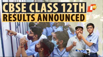 CBSE Announces Results Of Class 12th Board Exams, Pass% Sees Improvement 