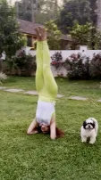 Keerthy Suresh's Intensive Yoga Asana Video Goes Viral - Watch
