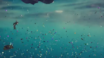 Reducing plastic pollution by 5pc yearly may stabilise ocean  microplastics