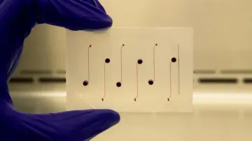 Indian-origin researcher developing vessel-chip for pharmaceutical drug testing