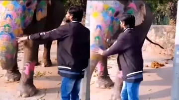 Youth feeds elephant for reels purpose, what jumbo did is shocking; watch