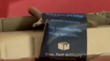 Bengaluru woman gets shock of her life after live cobra crawls out of online order