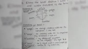 Student’s hilarious diagram