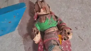 ‘Parsva’ deities of Rath Yatra chariots damaged by termites